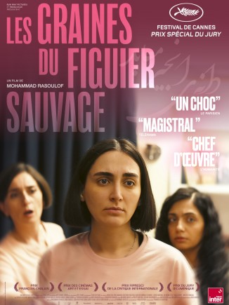 affiche film les graines du figuier